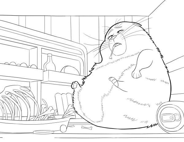 Тайная жизнь домашних животных raskraska