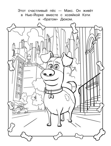 Разукрашки Тайная жизнь домашних животных 2