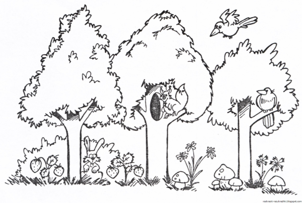 Лес раскраска для детей