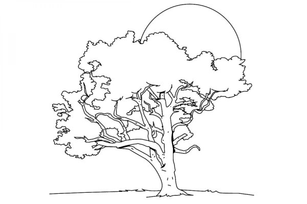 Дерево раскраска для детей