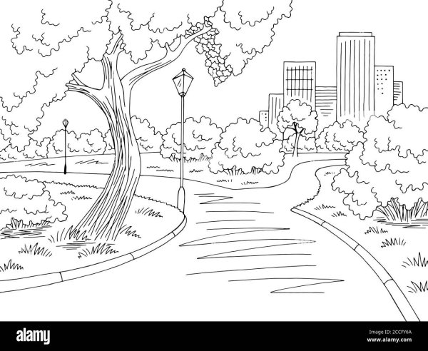 Раскраска парка