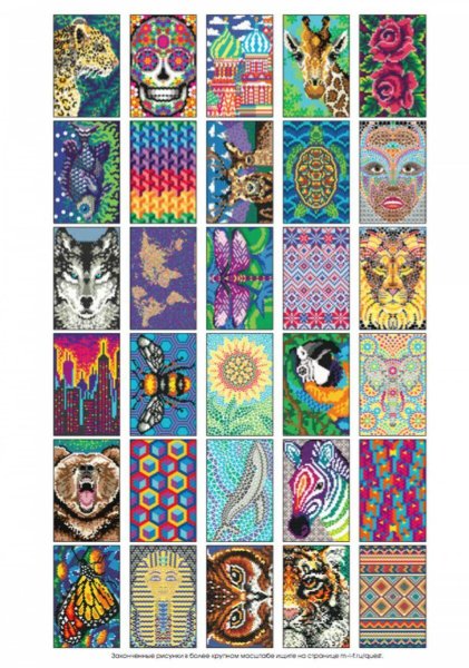 Цветовой квест. Непростые картины по номерам Джоанна Вебстер