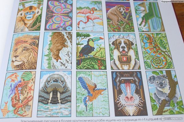 Coloristic. Цветовой квест по номерам