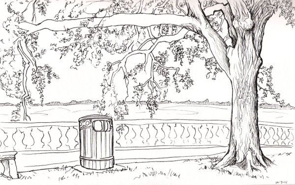 Раскраска парк