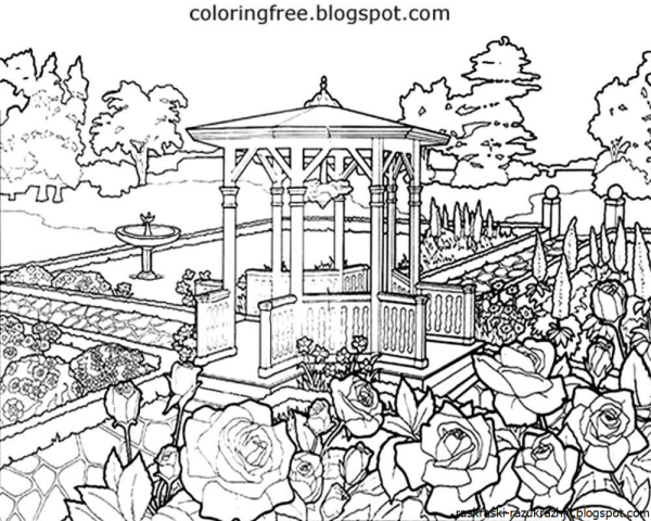 Раскраска пейзаж