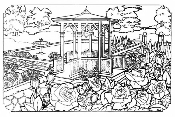 Раскраска пейзаж