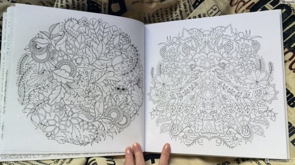 Заколдованный лес Джоанна Басфорд