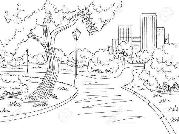Раскраска городской парк