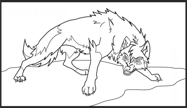 Раскраска 100 процентный волк