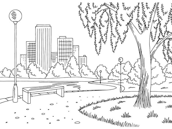 Раскраска городской парк