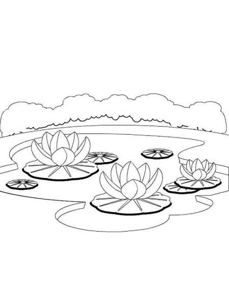 Пруд раскраска для детей