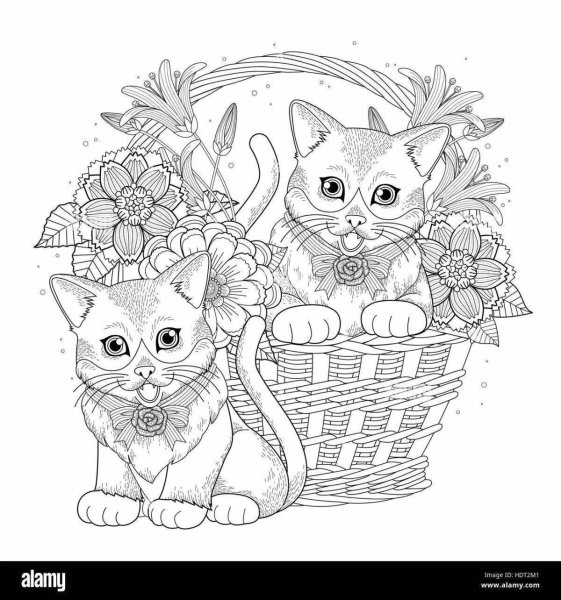 Раскраска котята в корзинке антистресс