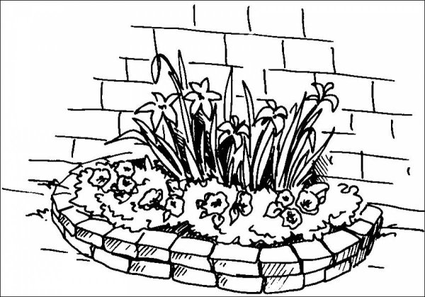 Клумба с цветами раскраска