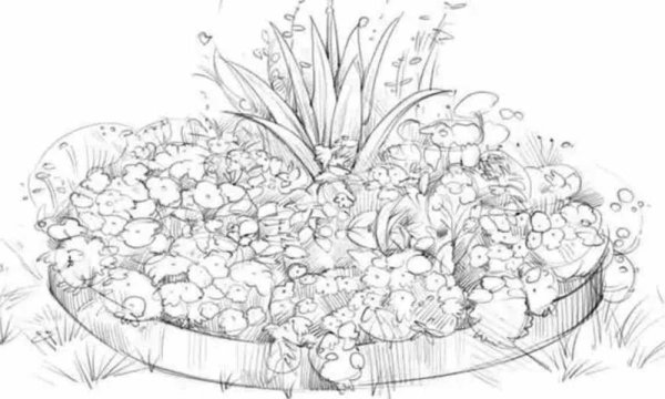 Клумба с цветами карандашом