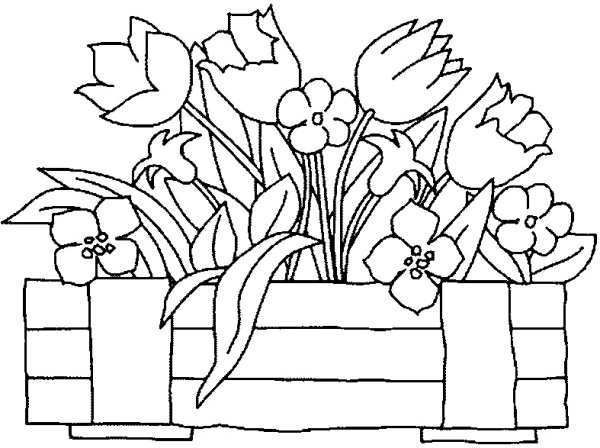 Клумба с цветами раскраска