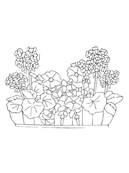 Клумба раскраска