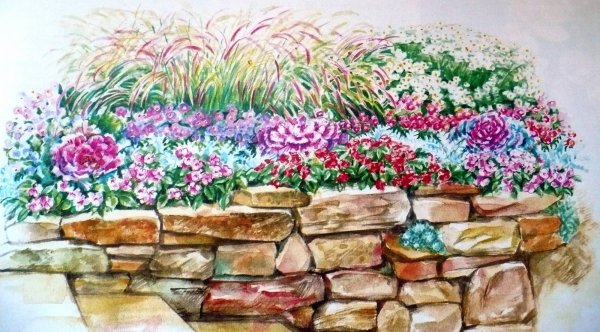 Клумба рисунок