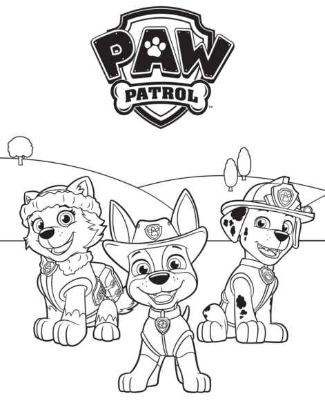 Раскраска Щенячий патруль воздушный патруль