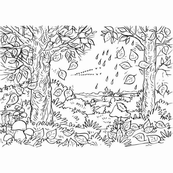 Раскраска природа