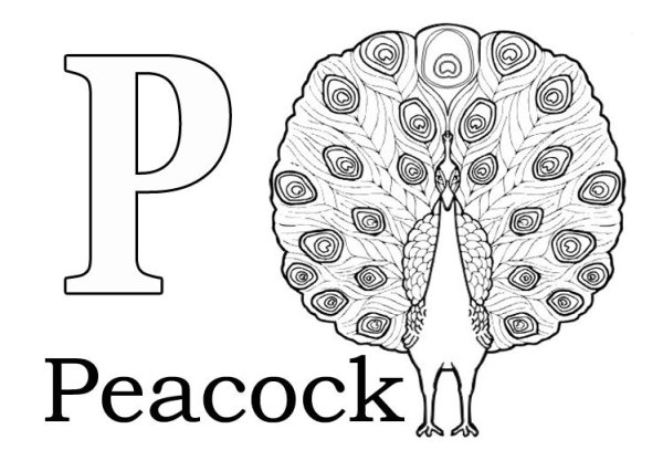 Английский алфавит для раскрашивания буквы