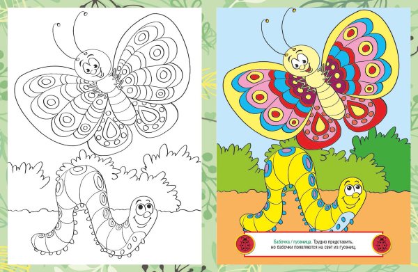 Раскраска по образцу