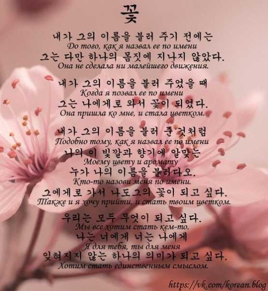 Корейский текст