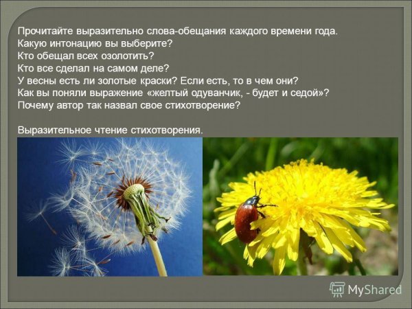 Константин Бальмонт золотое слово