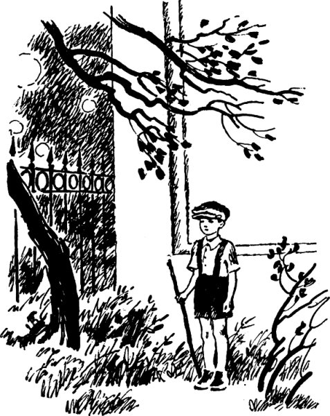 Иллюстрации к рассказу честное слово Пантелеева