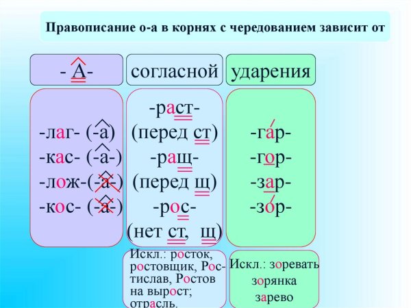 Зар-зор правило 6