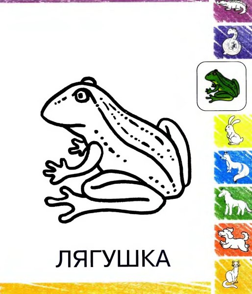 Слово лягушка