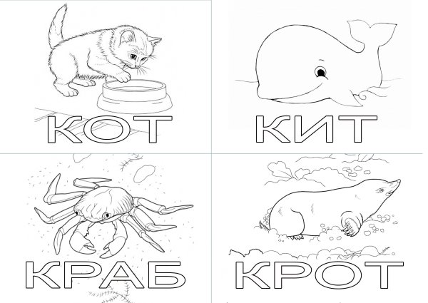 Раскраски карточки