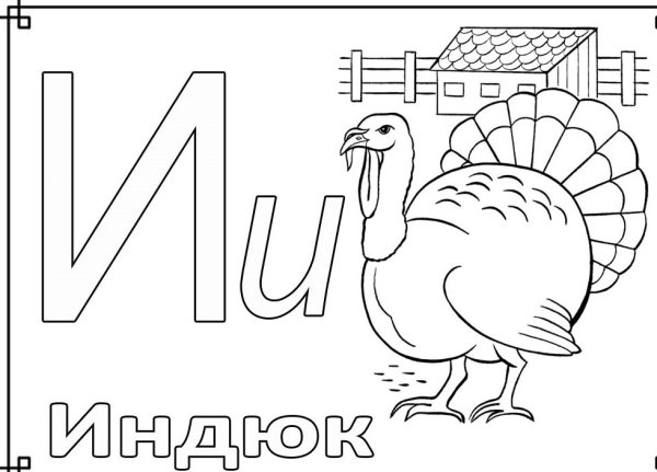 Азбука раскраска для детей