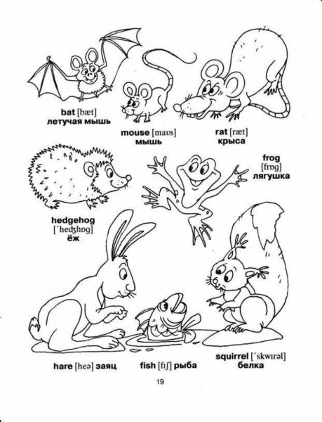 Раскраски для изучения английского языка