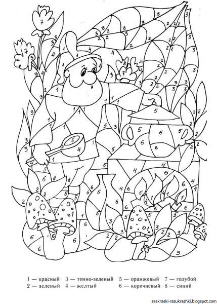 Раскраска по номерам