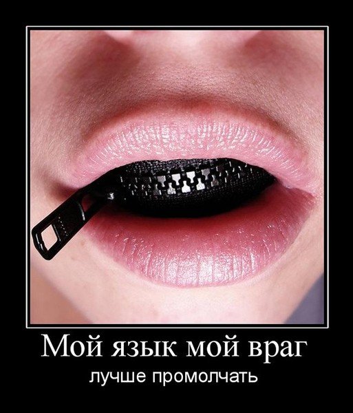 Спорят два дурака