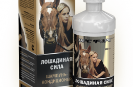 Лошадь бодибилдер