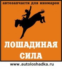 Лошадиная сила Дегтярный шампунь