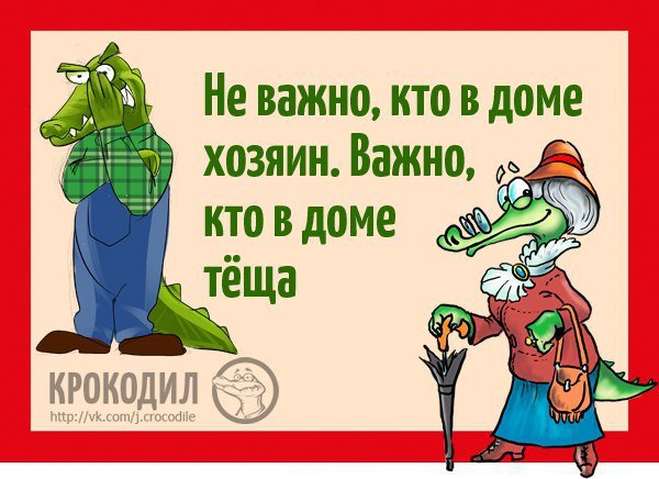 Цитаты про тещу прикольные