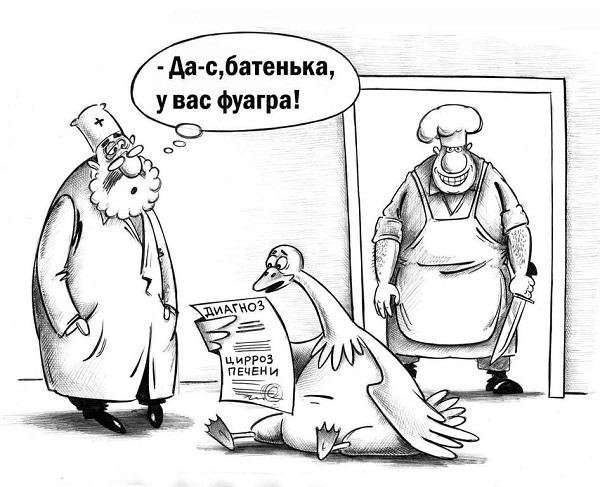 Социальная карикатура