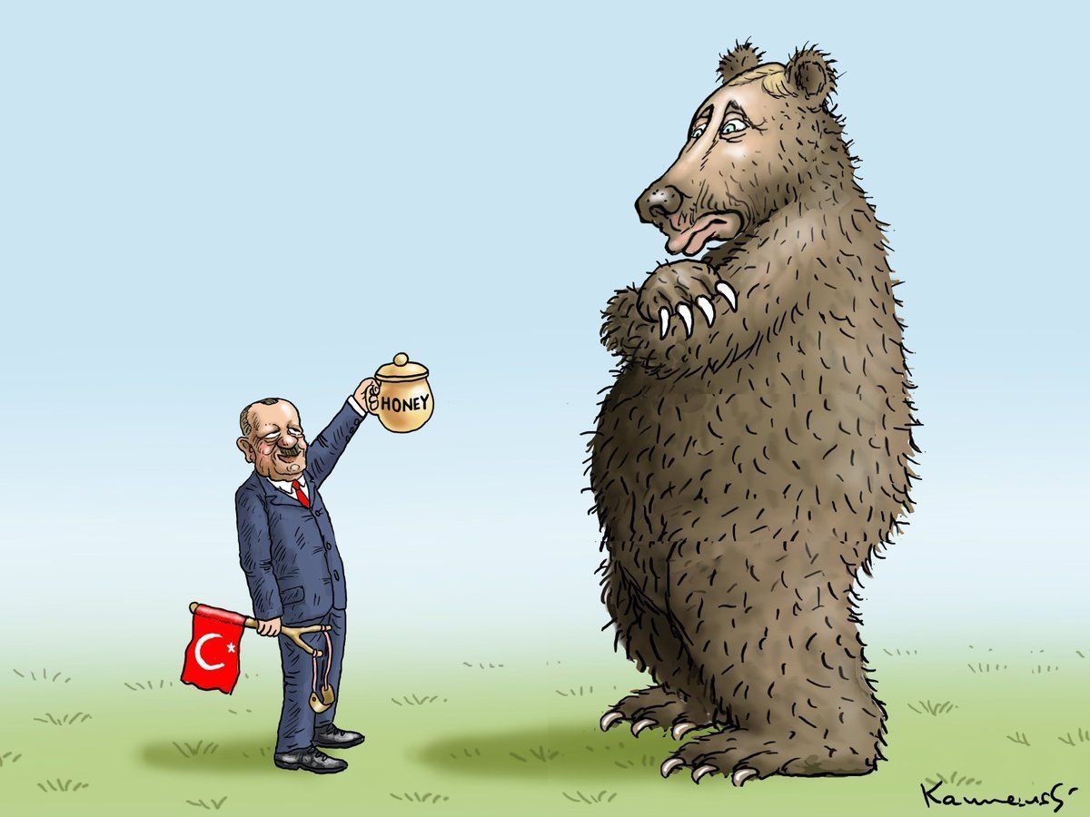 Медведь карикатура