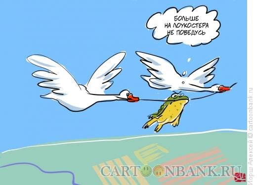 Лягушка путешественница карикатура