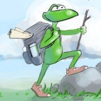 Лягушка путешественница с котомкой