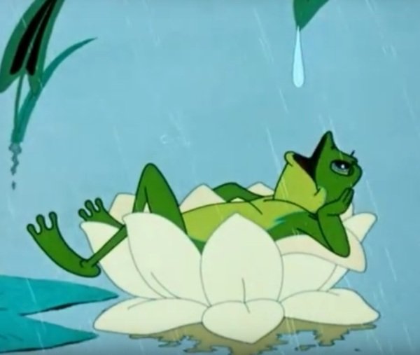 Лягушка в отпуске