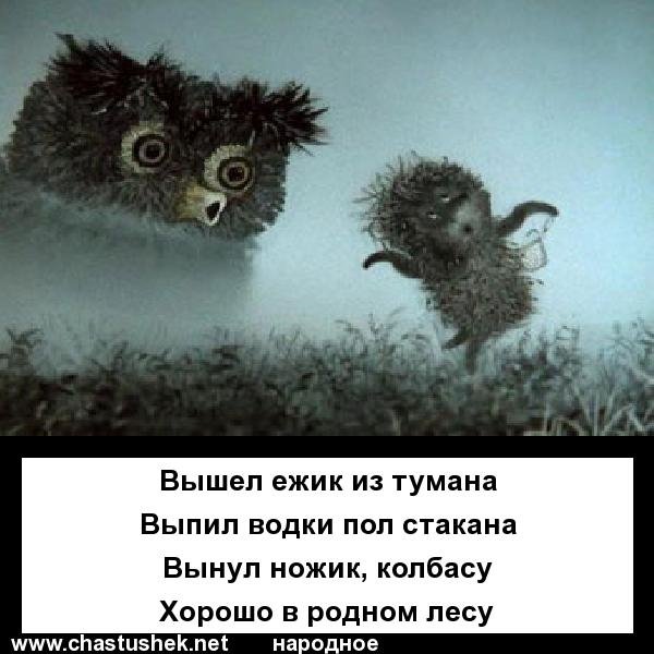 Ёжик в тумане прикол