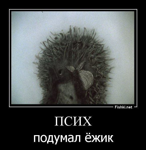 Ежик в тумане псих