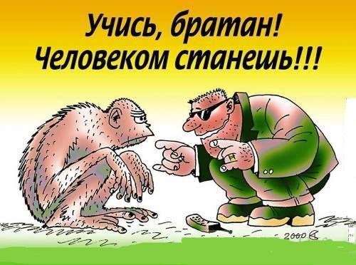 Бандит карикатура