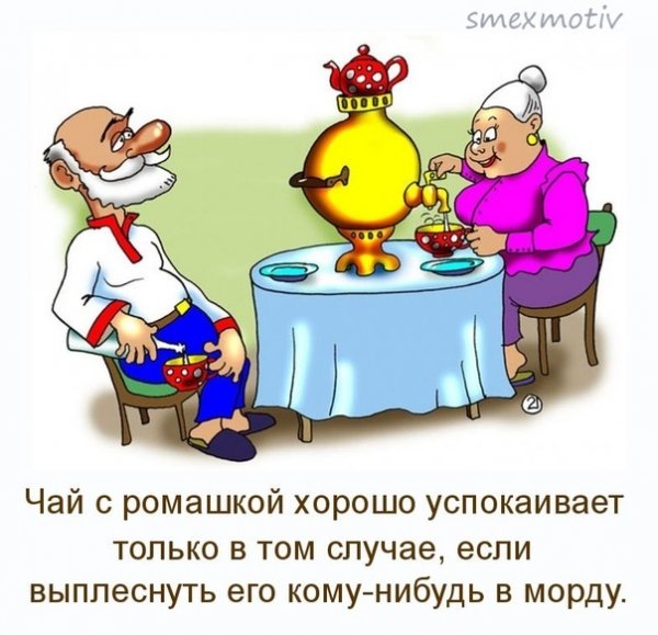 Навальный карикатура