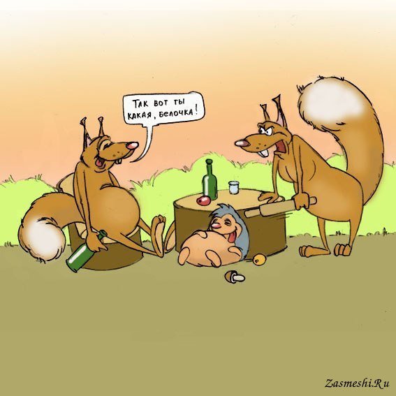 Карикатуры про белку