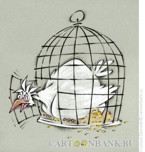 Птица в клетке карикатура