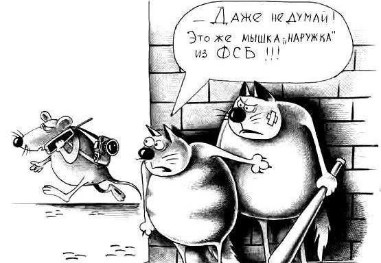 Наружка карикатура